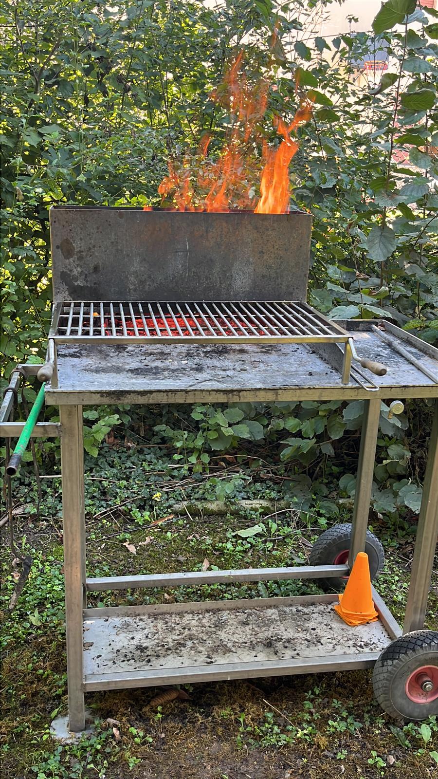Barbeque + griglia e piastra a gas